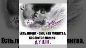 Премьера  !Владимир  Журавель *А ты прости, прости  меня*