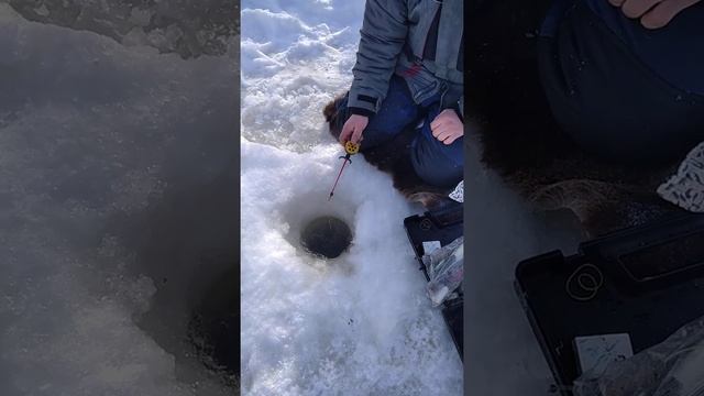 Рыбалка на Севере 2021 смотреть онлайн