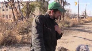 Пески.Донецкая область. ноябрь 2015