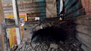 Обустройство дома в деревне. В гости в деревню.