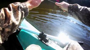 Ловим сомов в лесной реке на Квок и на бутылки