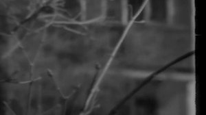 №16. Электроника 591+ Электроника 841