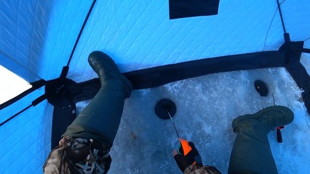 ОББУРИЛИ СО ВСЕХ СТОРОН! / РЫБАЛКА ПЕЧЕНЕГИ