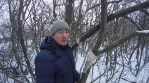 Сало для подкормки птиц