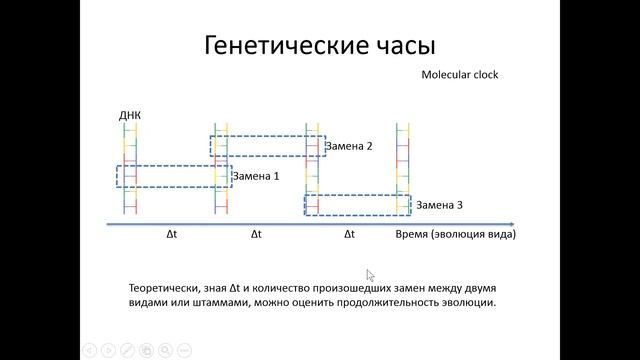 Туберкулёз - часть 1 - Эволюция Mycobacterium tuberculosis смотреть онлайн