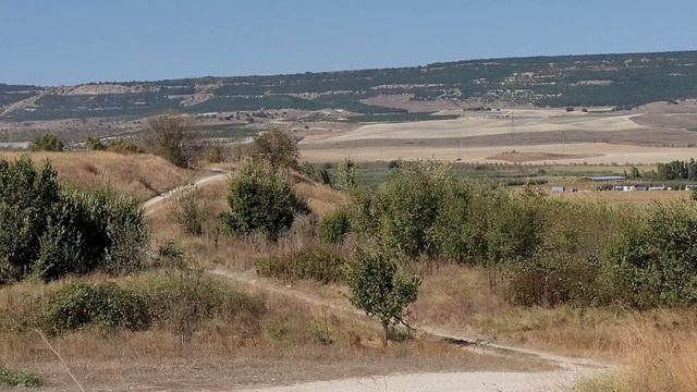 Результат посадок семян:Дуба,Ореха. смотреть онлайн