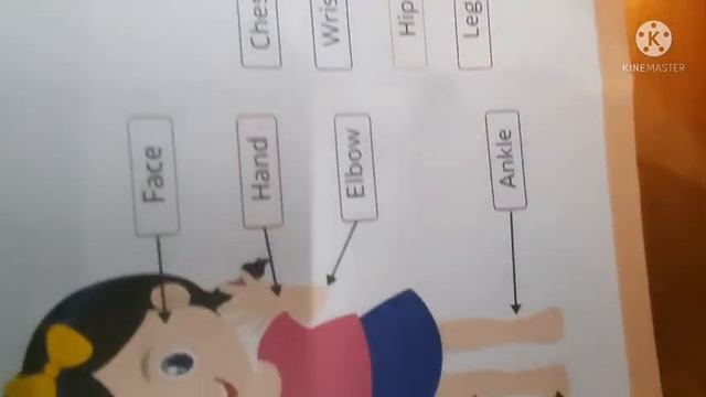 class monitor review and unboxing | kids education | nursery | k.g 1 | kids learning hub смотреть онлайн