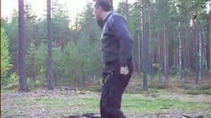 Танцы в лесу