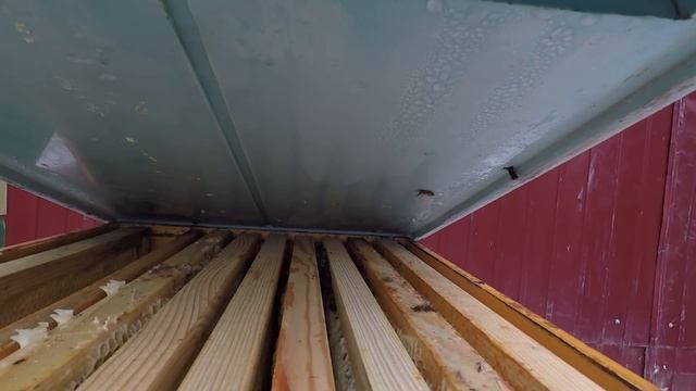 Улей ППУ Нижегородец. Матки Бакфаста от Бранструпа. Часть 2 смотреть онлайн