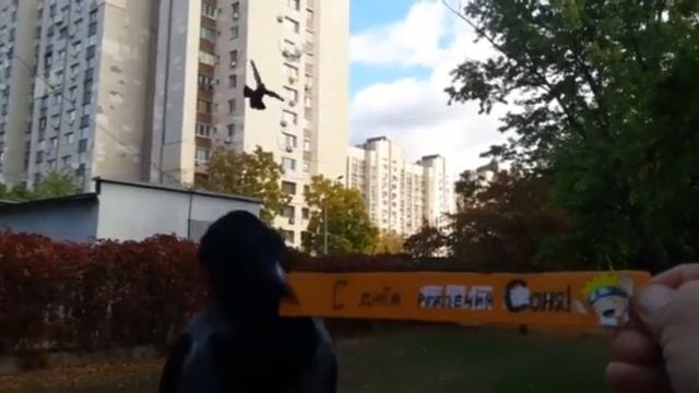 С днём рождения ,@SONYAPLAYINGAMES !☺?? смотреть онлайн