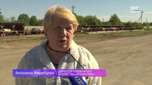 Племенное хозяйство «Ильинское»   одно из лучших в Карелии