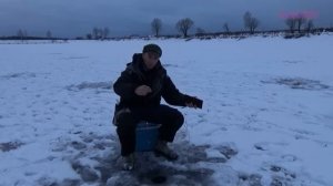 "Сабанеевская" рыбалка и прикормка на видео. Часть 6. Форель: Уловистая жерлица.