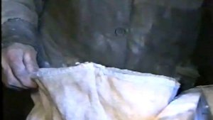 Ветряная мельница (июнь 2001 года, Трубчевский район)
