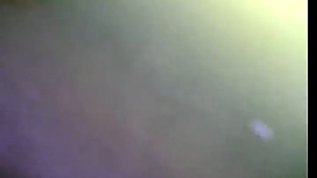Липецкое водохранилище окунь