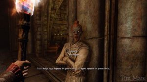 Skyrim ٠ Реакция Вампиров на Лук Ауриэля