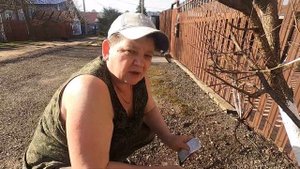 Как избавиться от муравьев в саду.