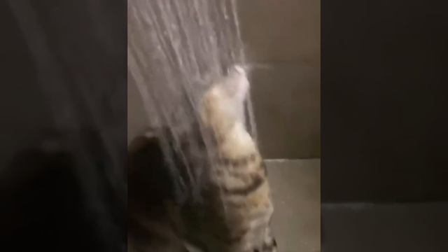 1000059821.mp4