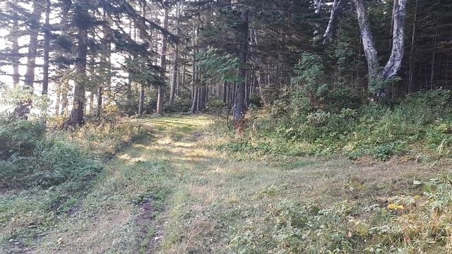 Ловим креветку. Варим уху. Рыбалка на Сахалине /Sakhalin Fishing/ смотреть онлайн
