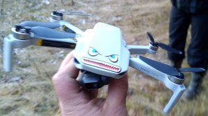 "СТРАННЫЙ ЛЕС" 2 (16 ноября 2020)