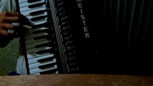 Розовая пантера,Аккордеон.