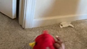 Angry Birds Plush: iPad Impact