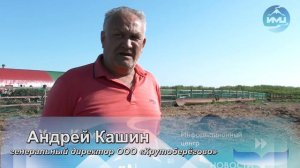 Крутоберёговская ферма