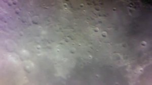 THE MOON WITH CELESTRON LCM 114 WITH WEBCAM MARCH 9 2014