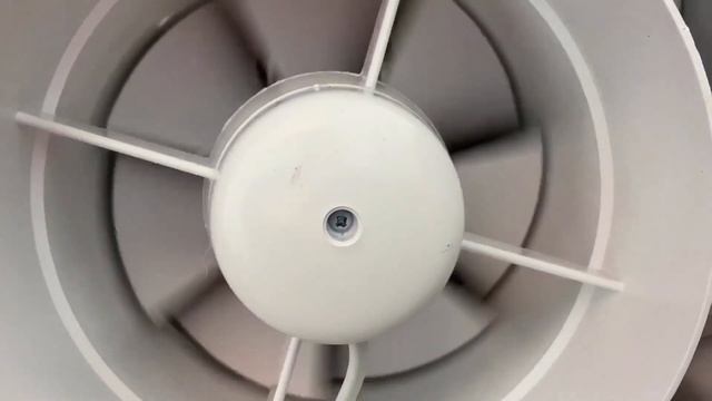 Дезинфекция салона авто озоном. Вирус не пройдёт!