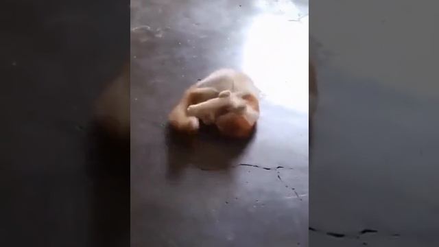 1000002289.mp4 смотреть онлайн