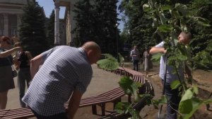 МОЛОДЫЕ ЛИПЫ, РЯБИНЫ И НОВЫЕ СКАМЕЙКИ появились в сквере им. Матусовского