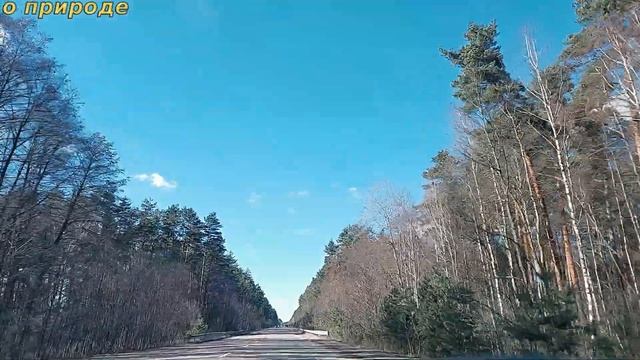 Природа любит нас, мы любим природу. смотреть онлайн