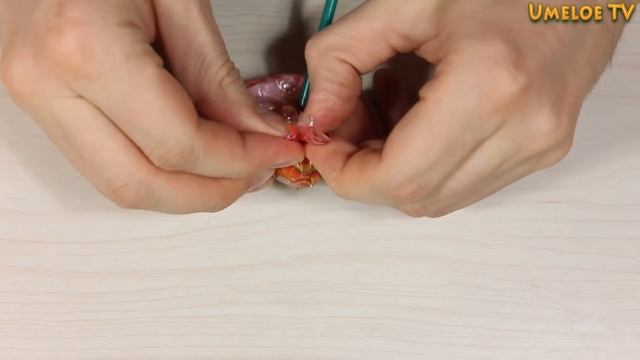 Чупа-Чупс + БАУНТИ + КИНДЕР СЮРПРИЗ = ??? смотреть онлайн