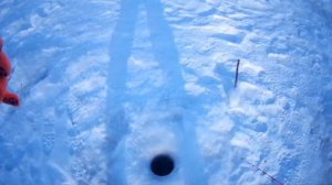 ИСКАЛ БЕЛУЮ РЫБУ А ПОПАЛ НА ЩУКУ. Ловля щуки на балансит зимой .Щука на жерлицы. Рыбалка на щуку.