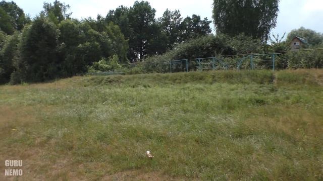 Золотарёвка (часть 3)