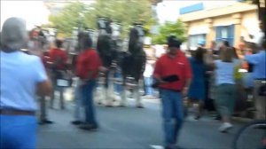 Budweiser Clydesdale Horses in Allentown, PA - September 16, 2013