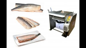 Шкуросъёмная машина GB-260 удаление шкуры сельди