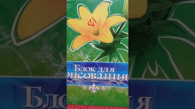 Рисунки цветными карандашами на тему: "Правила дорожного движения для младших классов". смотреть онлайн