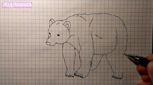 Как нарисовать МЕДВЕДЯ /1080р/How to draw a BEAR