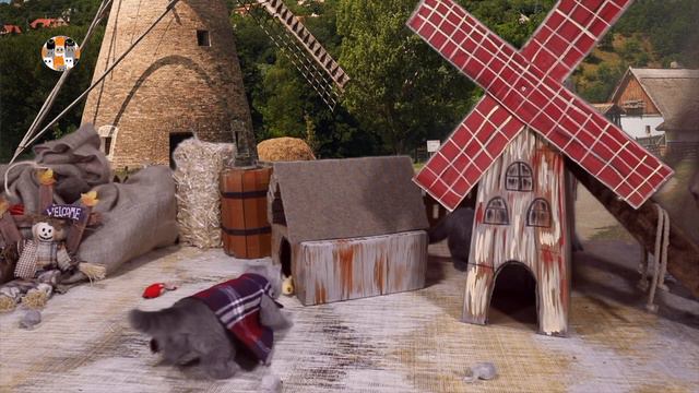 33 Котёнка - Смешные Котики! Котята Фермеры Весёлые Приключения | 33 Kotenka - Funny Farm Kittens