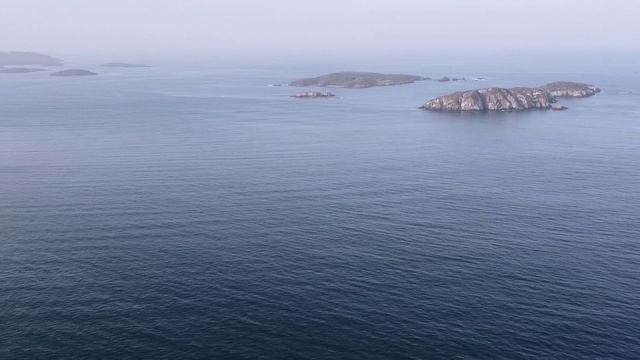 Во всем виноват кот смотреть онлайн