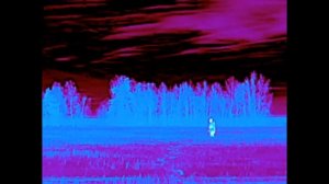Кошачий глаз охотника тепловизионный монокуляр iRay xEye C2W.