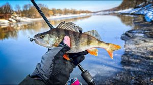 ОКУНЕВАЯ РАЗДАЧА перед ЗАПРЕТОМ / ЗАКРЫЛ СЕЗОН на НИЖНЕЙ МОСКВА-РЕКЕ