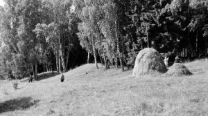 Вичуга 70-х Разные виды