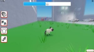Я СЛОМАЛ ВСЕ В СИМУЛЯТОРЕ ПЛОХОЙ КОШКИ В РОБЛОКС / Bad Cat ROBLOX