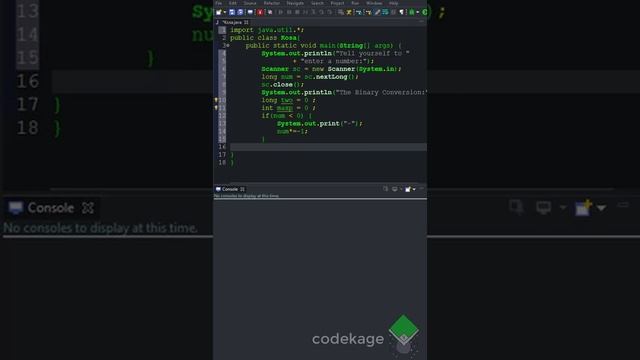 Making A Decimal To Binary Convert or In Java | CodeKage