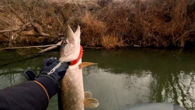 ВОТ ГДЕ НАДО ИСКАТЬ ЩУКУ? В ТАКИХ МЕСТАХ ВСЕГДА КЛЮЁТ смотреть онлайн