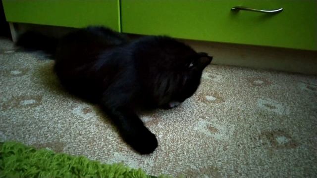 Игрушка с капелькой пустырника смотреть онлайн