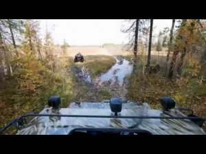 Квадроосень 2018 СОКОЛ