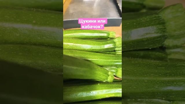 Цукини, кабачок или кужет? #нидерланды #courgettes #food