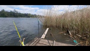 Как там на кичкасе с рыбалкой.Рыбалка в заливе на кичкасе.Рыбадка 2021.Карась здесь не знает пощады